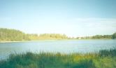Городище Велье. XIV в. Вид со стороны озера. Фото 2000 г.  с.Велье. Пушкино-Горский р-он.