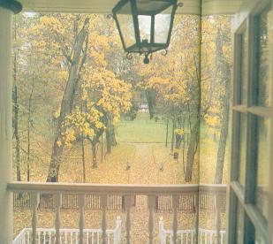 Усадьба "Петровское". Парк. Вид на зеленый партер из главного дома. Фото 1979 г.