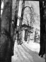 Усадьба "Лог". XIX в. Вид на  усадебный дом из липовой аллеи..  Фото 1988 г.  д.Лог, Плюсский р-он.